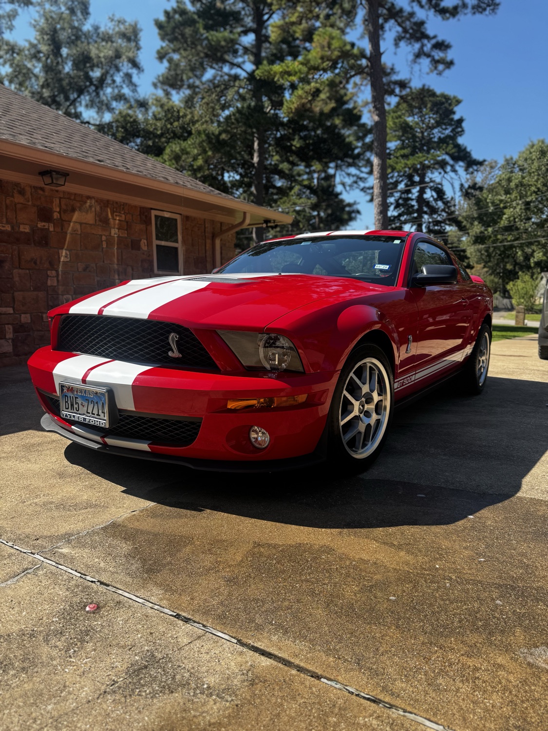 Shelby GT500 exterior detail